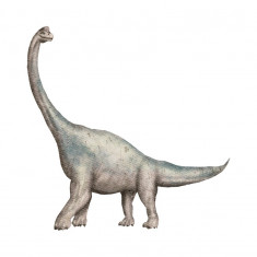 Sticker decorativ Dinozaur, Gri, 55 cm, 3936ST