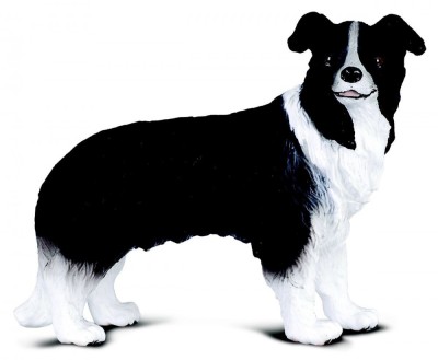 Figurina border collie foto