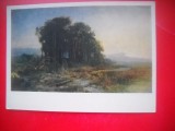 HOPCT 23567 THE GROVE- F A VASILIEV 1850-1873 -RUSIA -MUZEE - CP PICTURA --NECIRCULATAMUNTII