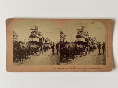 Rar!!! STEREOGRAFIE veche, anii 1887, USA, Marele carnaval Tally-ho, luptă pentru premiul pentru frumusețe foto