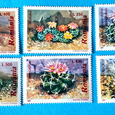 TIMBRE ROMÂNIA LP1433/1997 -CACTUȘI- Serie simplă -MNH