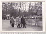 bnk foto Sibiu - Gradina zoologica din Dumbrava