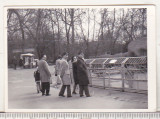 Bnk foto Sibiu - Gradina zoologica din Dumbrava, Alb-Negru, Romania de la 1950, Cladiri