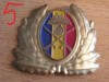 QW14 - Emblema militara / cuc - uscat - anii 1990 - piesa de colectie