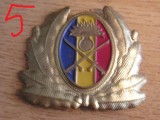 QW14 - Emblema militara / cuc - uscat - anii 1990 - piesa de colectie