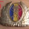 QW14 - Emblema militara / cuc - uscat - anii 1990 - piesa de colectie