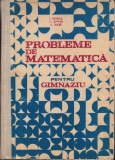 Ion Petrica - Probleme de matematica pentru gimnaziu, Didactica si Pedagogica, 1985