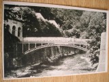 QW23 B - Carte postala - tematica turism - vedere - Romania - Baile Herculane 10, Necirculata, Fotografie
