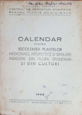 Calendar pentru recoltarea plantelor medicinale, aromatice si similare indigene din flora spontana si din culturi foto