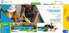 Afacere online - Site e-commerce in constructii