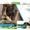 Afacere online - Site e-commerce in constructii