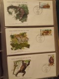FAUNA WWF - 3 PLICURI PRIMA ZI