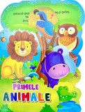 Primele animale - Flamingo Gd