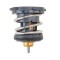 MAHLE TX 252 87 termostat,lichid racire