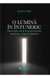 O lumina in intuneric - Radu Carp