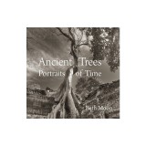 Ancient Trees: Portraits of Time
