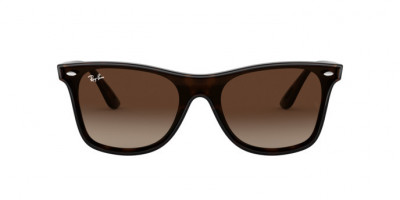 Ray-Ban Blaze Wayfarer Ochelari de Soare RB 4440N 710/13 foto