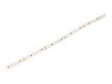 Bandă LED alb rece 24V 12W/m