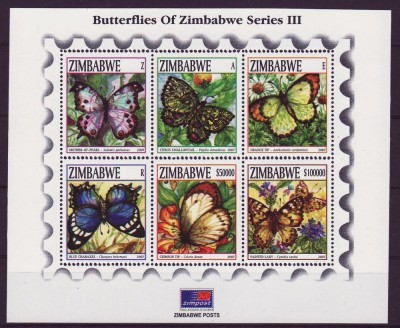 ZIMBABWE 2007 FAUNA INSECTE FLUTURI foto