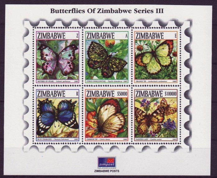 ZIMBABWE 2007 FAUNA INSECTE FLUTURI