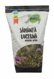 Samanta Lucerna Romaneasca VALAHIA C1, Drajata, 4 AGRO - 10 kg, Oem