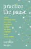 Practice the Pause: Jesus&#039; Contemplative Practice, New Brain Science, and What It Means to Be Fully Human