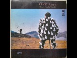 Pink Floyd Delicate sound of thunder vol 1, 2 Melodia URSS