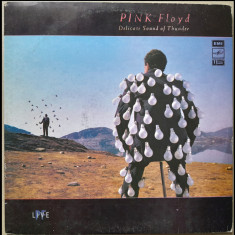 Pink Floyd Delicate sound of thunder vol 1, 2 Melodia URSS