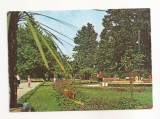 RF87 - Carte Postala - Buzias, Parcul, circulata 1979