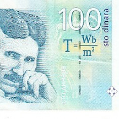 M1 - Bancnota foarte veche - Serbia - 100 dinarI - 2013
