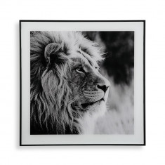 Tablou decorativ din sticla Lion Profile, Versa, 50x50 cm