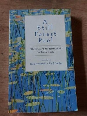 A still forest pool- Jack Kornfield, Paul Breiter foto