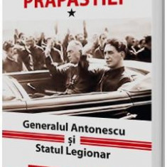 Pe marginea prapastiei Vol.1: Generalul Antonescu si Statul Legionar