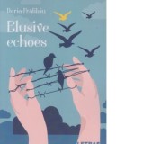 Elusive echoes - Daria Fratiloiu