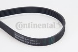 CONTINENTAL CTAM 6PK1180 Curea transmisie cu caneluri