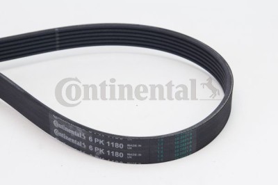 CONTINENTAL CTAM 6PK1180 Curea transmisie cu caneluri foto
