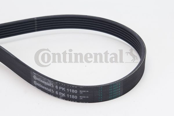 CONTINENTAL CTAM 6PK1180 Curea transmisie cu caneluri