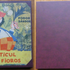 Fodor Sandor , Piticul cel fioros , 1965 , editia 1 cu ilustratii de Livia Rusz