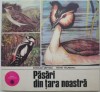 Pasari din Tara Noastra - Nicolae Saftoiu, Matei Talpeanu - Carte Biologie Ilustrata - Editie Originala