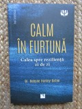 Calm in furtuna. Calea spre rezilienta zi de zi, dr. Robyne Hanley-Dafoe