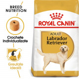 Royal Canin Labrador Adult hrană uscată c&acirc;ine, 12kg