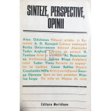 Amelia Pavel - Sinteze, perspective, opinii din Gandirea Romaneasca despre arta (Editia: 1980)