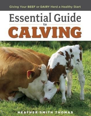 Essential Guide to Calving: Giving Your Beef or Dairy Herd a Healthy Start foto