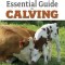 Essential Guide to Calving: Giving Your Beef or Dairy Herd a Healthy Start