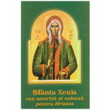 - Sfanta Xenia cea smerita si nebuna pentru Hristos - 131259