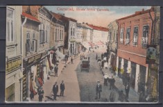 SALUTARI DIN CARACAL STRADA ANTON CARACALLA MAGAZINE TRASURA EPOCA