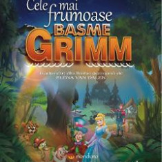 Cele mai frumoase basme - Fratii Grimm