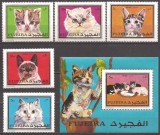 FUJEIRA 1970 FAUNA PISICI ( colita + serie dt. ) MNH