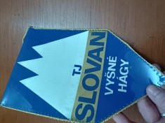 FANION SLOVAN . INTERESANT foto