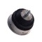Suport motor BMW 3 (E46) 12.97-05.05, 3 Convertible (E46) 04.00-12.07, 3 Coupe (E46) 12.98-07.06, 3 Touring (E46) 06.99-07.05, spre motor, 330 D, 330